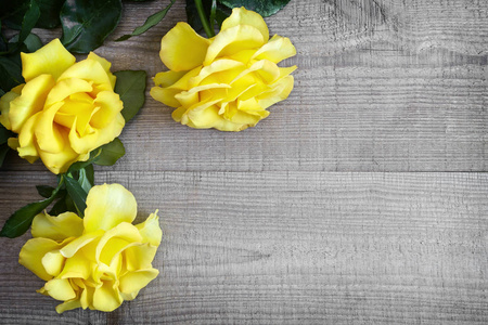 浅木质朴的背景豪华的黄色玫瑰与精致的花瓣。顶部视图, 复制空间