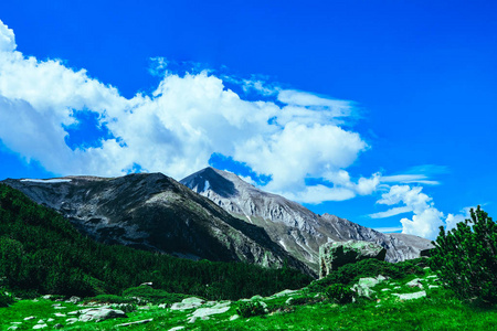 美丽的高山山峰, 蓝天背景。惊人的山徒步旅行天堂风景, 夏天