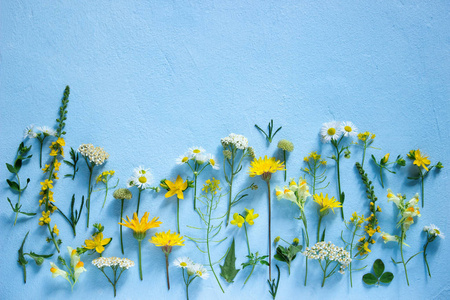 构成从各种各样的野花在浅蓝色背景。选择性聚焦