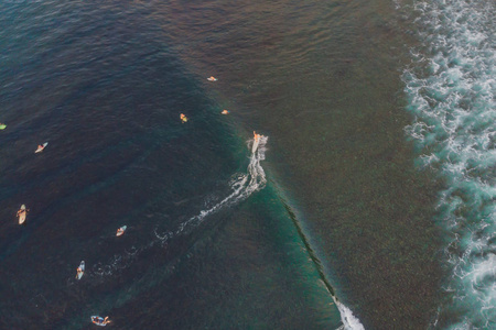 热带沿海海滩在海水中的冲浪者的高视角