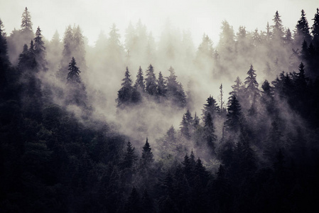 云雾山风景