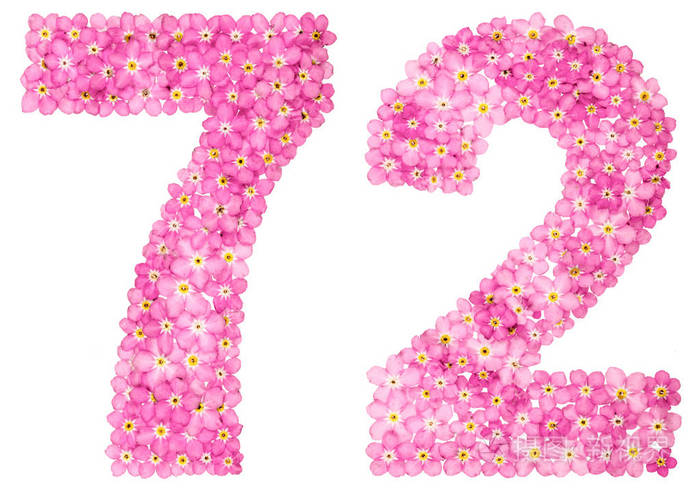 阿拉伯语数字 72, 七十二, 从粉红色忘记-我-不是花