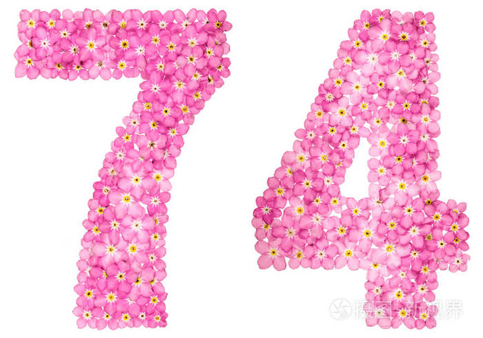 阿拉伯语数字 74, 七十四, 从粉红色忘记-我-不是花