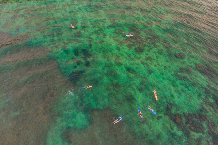 在热带度假胜地, 人们在海水中冲浪的鸟图