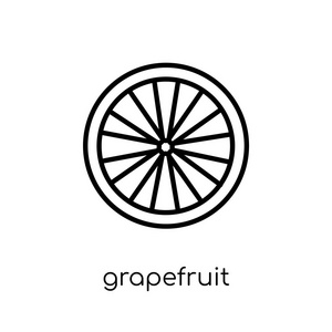 葡萄柚图标。时尚现代扁平线形矢量葡萄柚图标在白色背景从细线水果和蔬菜收集, 轮廓向量例证