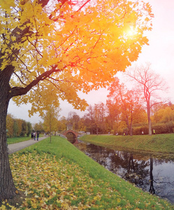 秋天的公园与河