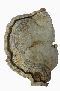 矿物的玛瑙晶洞岩