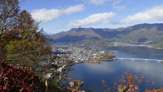 富士山和樱花盛开在湖河口湖