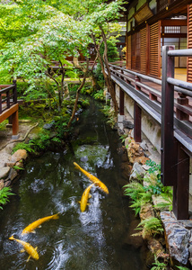 日本京都 Eikando 电子寺