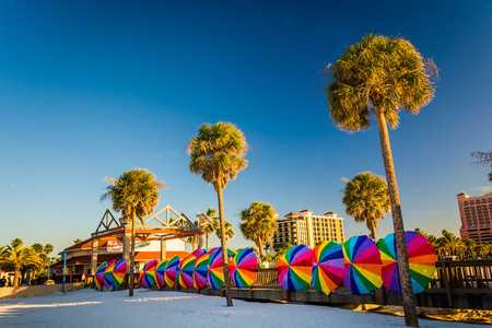 棕榈树和缤纷多彩的海滨遮阳伞在克利尔沃特海滩，弗洛