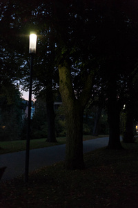 城市公园在晚上与灯和大道与树在德国南部在10月月在秋天季节