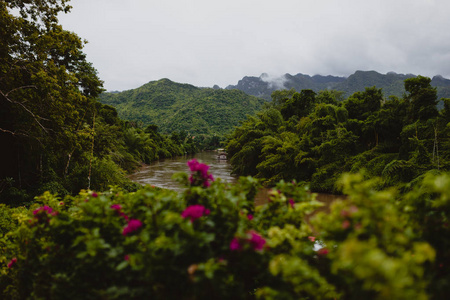 沿葵河畔漫步