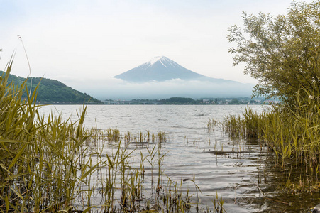 日本河口湖和佛偈山