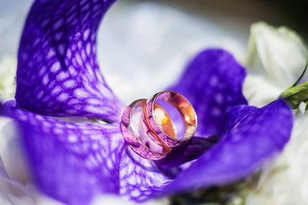 婚礼订婚戒指躺在一朵蓝色的花里