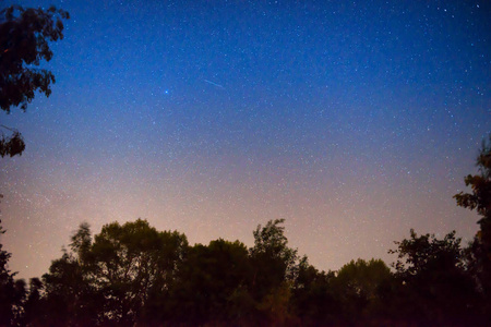 夕阳和黑夜, 在森林中的黑暗的蓝天与明亮的星星作为空间背景