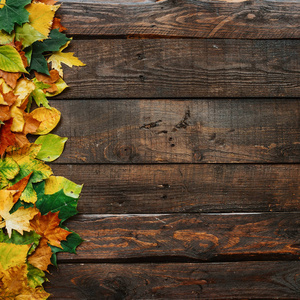 秋季黄红绿叶边框框在深褐色的谷仓木板背景上。方形明信片模板。用于复制文本字体的空白空间