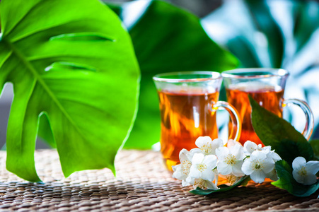 茉莉花茶。两杯茶在自然背景下的绿叶与茉莉花。文本空间