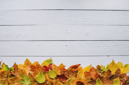 五颜六色的秋干树叶边框框上白色彩绘质朴的谷仓木空白背景。用于复制文本刻字的空白空间。水平明信片模板