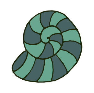 矢量彩色涂鸦手绘海贝壳在白色背景下分离