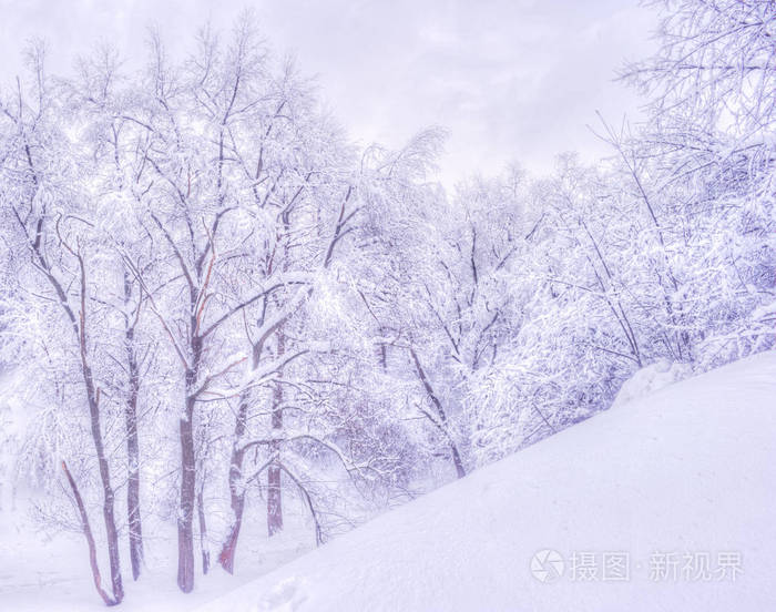 冬季公园冬天的风景与白雪皑皑的树木-冬季下雪场景在