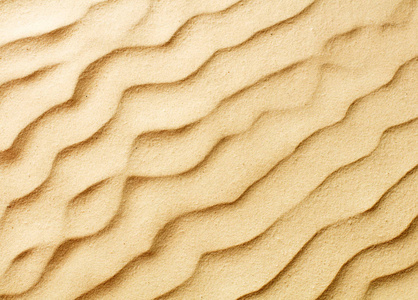 作为背景的沙丘