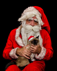 沉思圣诞老人抱着只暹罗猫