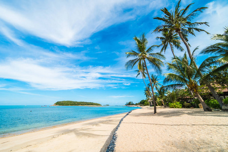 美丽的热带海滩海和沙子与椰子棕榈树在蓝天白云为旅行和假期