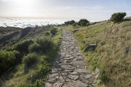 pico ruivo 徒步旅行, 在云层之上, 惊人的神奇景观, 令人难以置信的景色, 阳光明媚的天气与低云, 岛屿马德拉, 葡