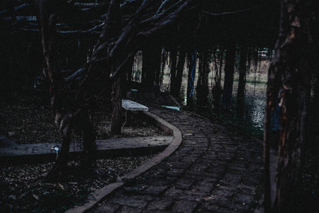 在黑暗的森林里孤独