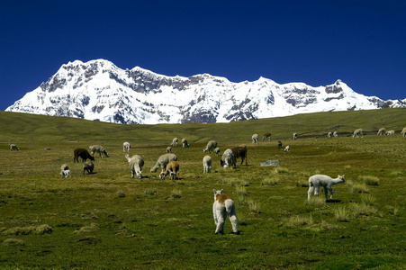 奥桑加山