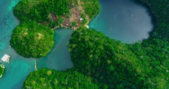 苏巴泻湖鸟图。美丽的风景与蓝色的海泻湖, 国家公园, 锡尔高岛, 菲律宾