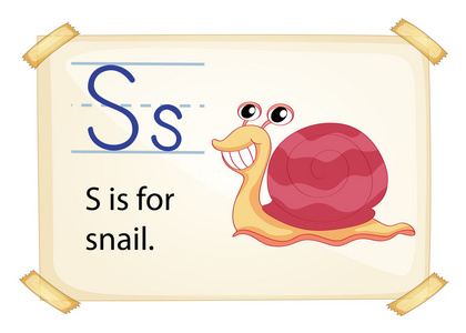 字母 S 为蜗牛