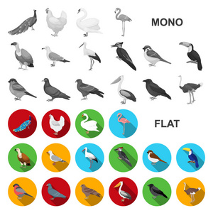 鸟的类型平面图标集合中的设计。首页和野生鸟矢量符号股票网站插图