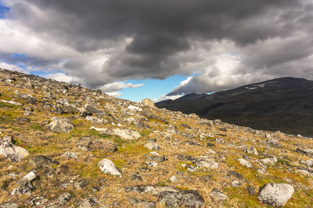 挪威 jotunheimen 国家公园一个被苔藓覆盖的石质斜坡