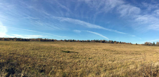 广阔的田园风光与田野和森林在美丽的蓝天下, 在晴朗的日子, 在金色的秋天有许多白云