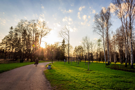 夏天橙色日落在公园 Gatchina