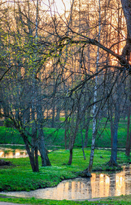 夏天橙色日落在公园 Gatchina