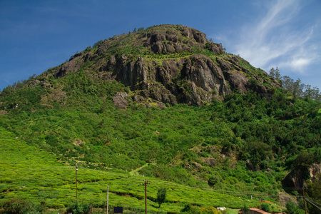 高绿山附近乌，泰米尔纳德邦，印度