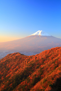 富士山在清晨的阳光中闪耀