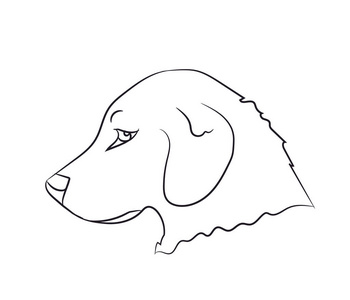 狗肖像, 线条, 矢量, 白色背景