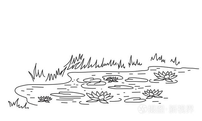 睡莲在水面上向量例证