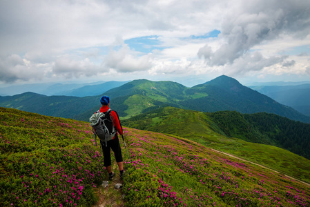 探险家站在山上的小径上, 开花的粉红色杜鹃和钦佩的云彩。史诗般的旅行在山上。广角, 后视图