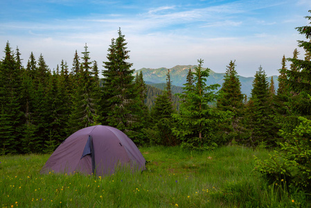 在绿山草地上的帐篷, 在蔚蓝的天空下伸展到地平线的树木繁茂的丘陵背景下