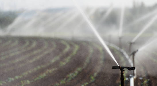 用喷灌系统灌溉德国西部农作物的田间栽培技术