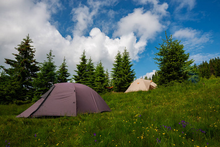 在绿山的草地上的帐篷在野花和巨大的冷杉树的背景下的蓝天。广角