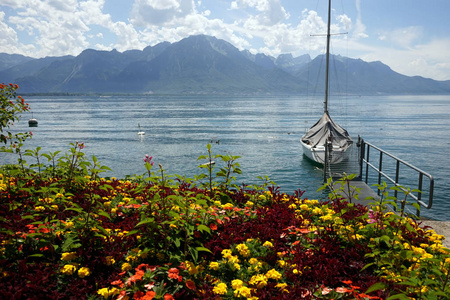 日内瓦湖岸的鲜花和 yach