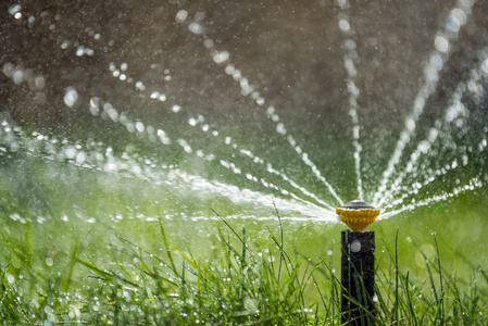 自动花园草坪洒水器在行动浇灌草