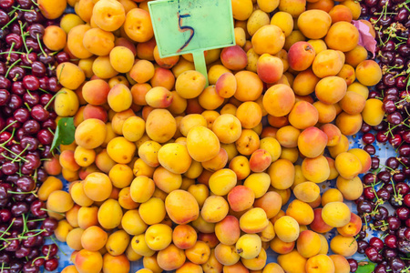 东方农场市场上成熟的杏