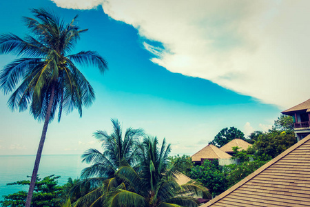 美丽的椰子棕榈树与海洋在蓝天背景