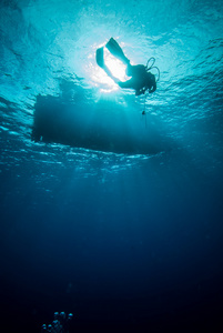 绿海龟游泳在 Derawan，加里曼丹，印度尼西亚水下照片